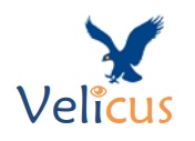 Logo Velicus